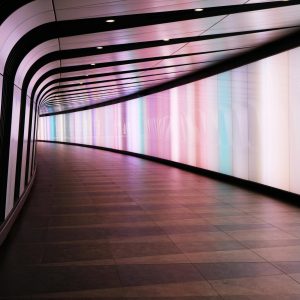 pexels-carrie-johnson-444447-1202849